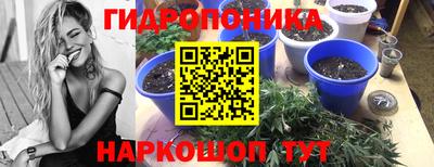 ALPHA PVP Сланцы
